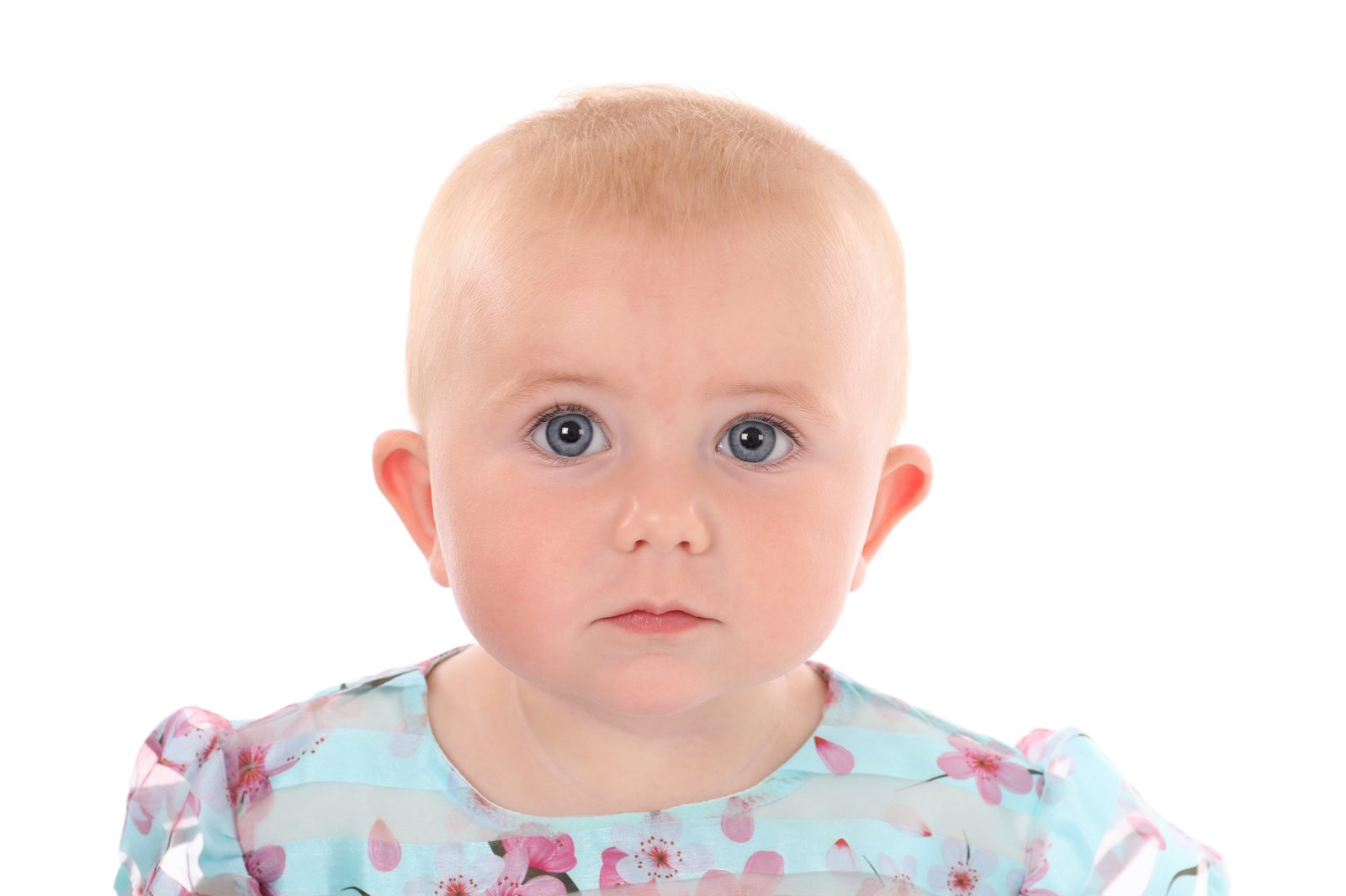Model Image